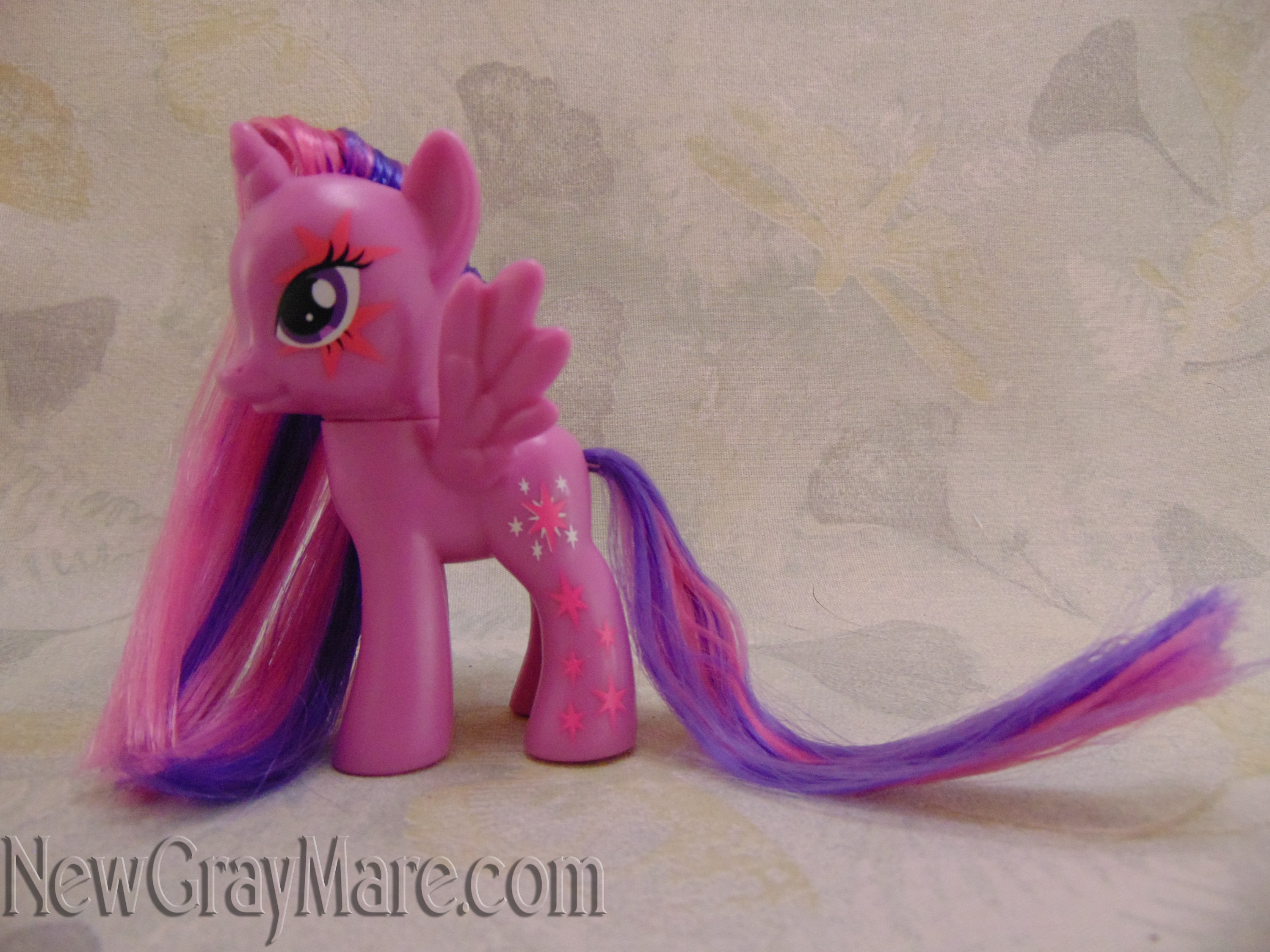 Princess Twilight Sparkle - The New Gray Mare