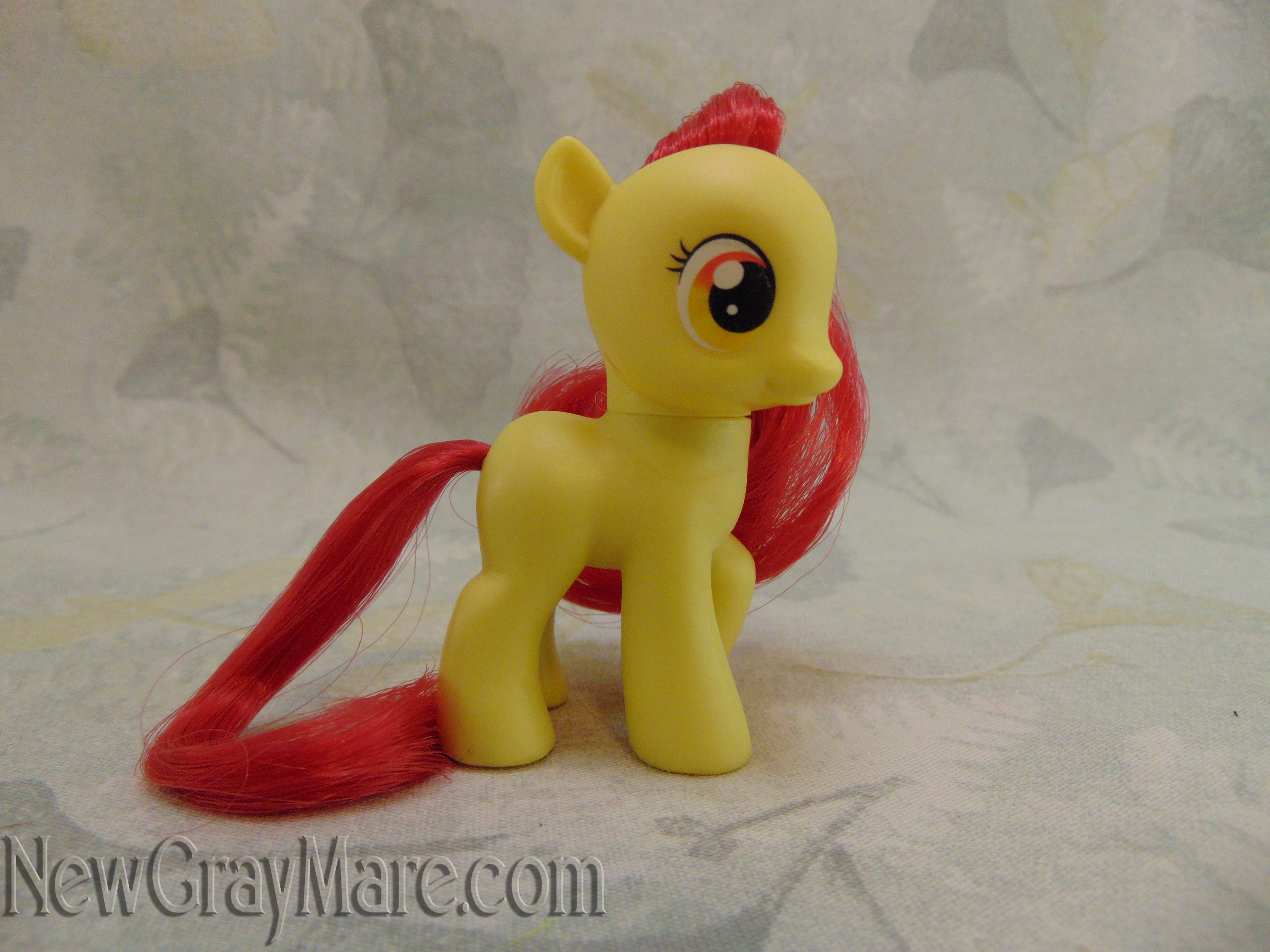 Apple Bloom - The New Gray Mare